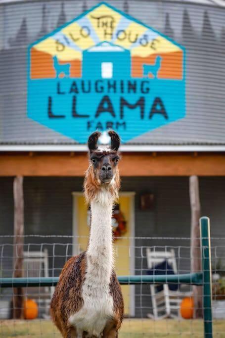Silo House At Laughing Llama Farm Troy Ngoại thất bức ảnh