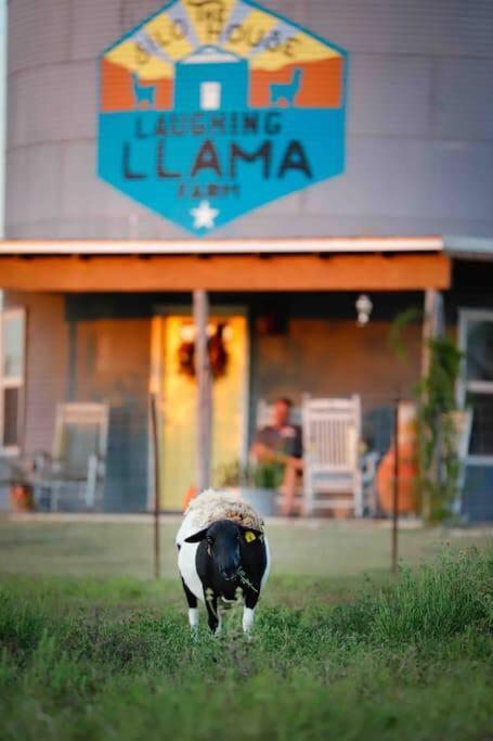Silo House At Laughing Llama Farm Troy Ngoại thất bức ảnh